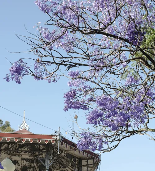 Casa do Frango